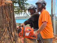 JT & Sons Tree Service LLC