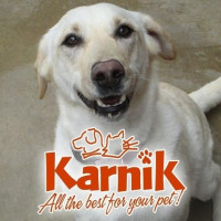 Karnik Pet Lodge at Central Avenue