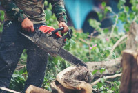 Katy Tree Services