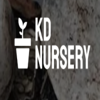 KD Nursery