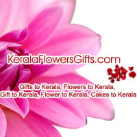 Send Freshly Baked Cakes to Kochi Assured Same Day Delivery
