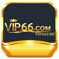 vip66vnet