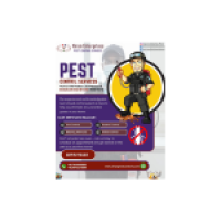 Pest Control Services in Bangalore | Safe & Effective Solutions
