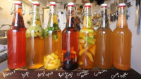kombucha keywest