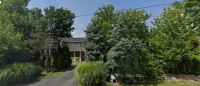 Galbraith Tree & Shrub