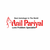 Pandit Anil Pariyal