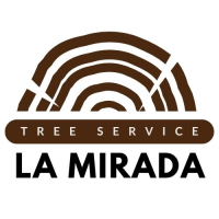 HomeBase La Mirada Tree Services