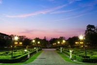 Landscape Lighting