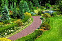 Plainfield landscaping