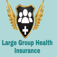 Large Group Health Insurance Services
