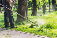 McGrew Pro Services