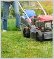 Adelaide Lawn Mowing | Lawn Mowing Services