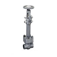 LF2 Forged Cryogenic Globe Valve,