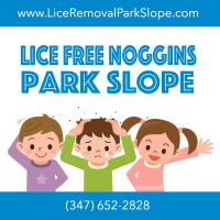 Lice Free Noggins Park Slope