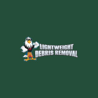 Lightweight Debris Removal