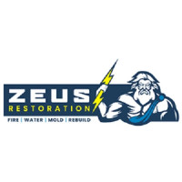 Zeus Restoration