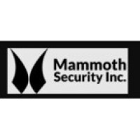 Mammoth Security Inc. Holyoke
