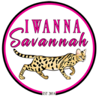 IWANNASAVANNAH