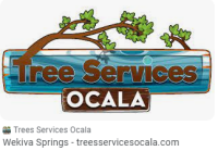 Tree Services Ocala