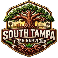 South Tampa Tree Services