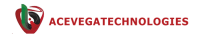 IT solution company
