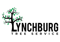 Lynchburg Tree Service