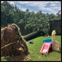 Dublin Tree Service, LLC