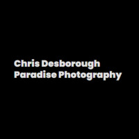 Paradise Photography