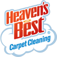 Expert Carpet Cleaning in Coconut Creek, Pompano Beach, Coral Springs & Nearby
