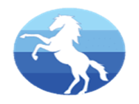 Bluechip Builder