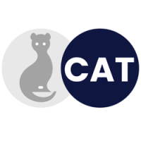 CAT Software Services Inc