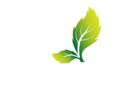 Best homestay in trivandrum | Remasailam