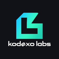 Custom Software Development Company Chicago