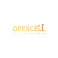 Opexcell Limited