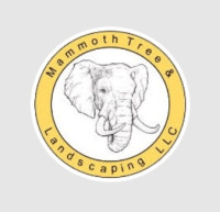 AAA Mammoth Tree & Landscaping