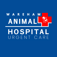 Wareham Animal Hospital