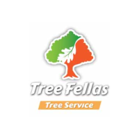 Tree Fellas