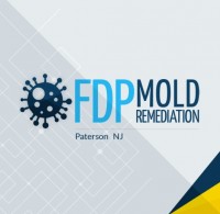 FDP Mold Remediation