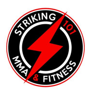 STRIKING 101 MIXED MARTIAL ARTS - FOREST HILLS