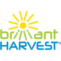 Brilliant Harvest