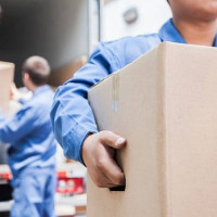 Rophe Moving Services LLC