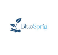 BlueSprig Sandy Springs - ABA Therapy for Autism
