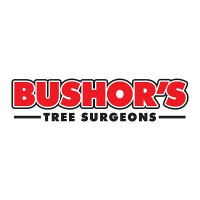 Bushor’s Tree Surgeons
