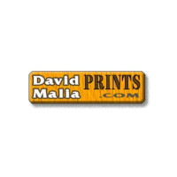 David Malia Prints