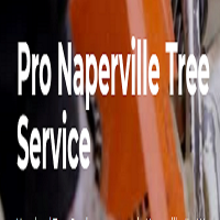 Pro Naperville Tree Service