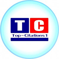 top_citati0ns1 SEO