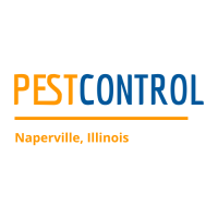 Pest Control Naperville Pros