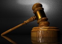 Employment Law Attorney