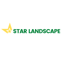 Star Landscape