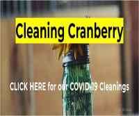 Cleaning Cranberry